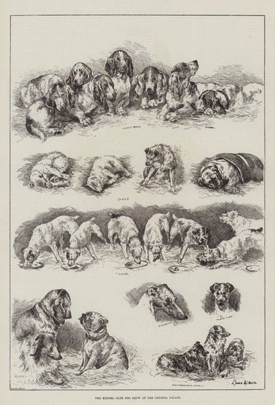 The Kennel Club Dog Show at the Crystal Palace by Louis Wain
